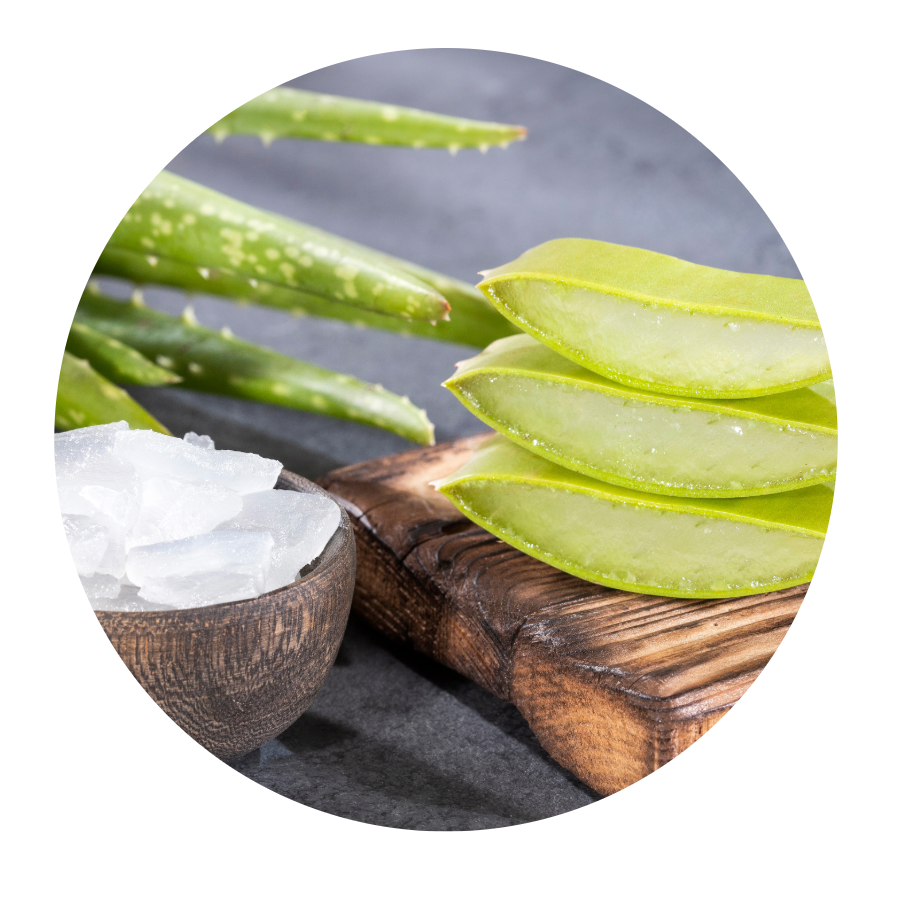 Gel de Aloe Vera Puro 95% estabilizado en frío